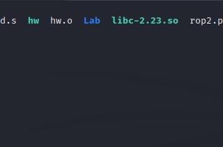 ROP chains on ARM64