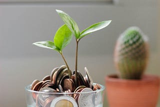 The Easiest Money I Ever Made From My Words