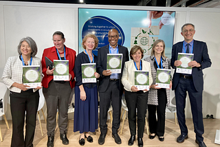 COP29 Outcomes: A Step Forward and the Remaining Challenges on Climate Action