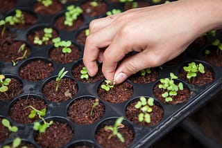 Planting Seeds In The Dark