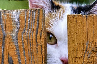 Observability for Developers — Part 0: The Blind System