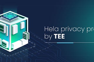 HeLa: Pioneering the Future of Blockchain with Innovation and Sustainability