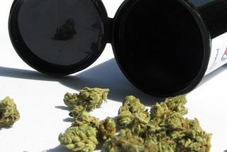 cannabis buds