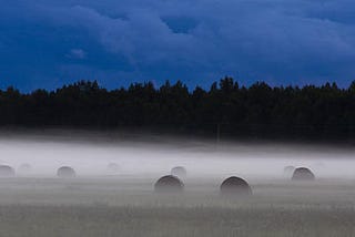 Strong connection to Estonia — e-Residency Journey