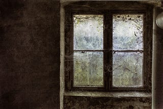 In a dark room, a 4 paned window looks into a green space. The windows are covered with spider webs and lichen.