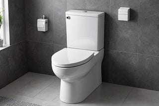 Toilet-Pump-1