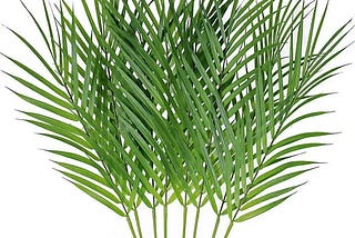 windiy-supla-8-pcs-artificial-areca-palm-leaves-stems-faux-palm-leaf-greenery-tropical-palm-tree-lea-1
