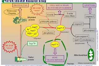 Non-thermal “heresy” that might be the reason why we see non-thermal effects