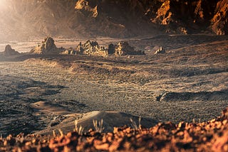 Are Plans Of Colonizing Of Mars Reasonable?