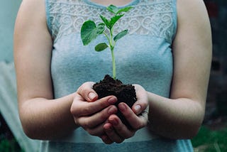 woman holding plant