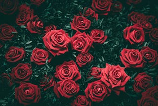 GrandRoses.com is an elegant and memorable domain name, ideal for startups looking to establish a strong and appealing online presence. Perfect for businesses in the floral industry, event planning, luxury goods, or even lifestyle blogs, this Grand Roses domain conveys beauty, sophistication, and grandeur.