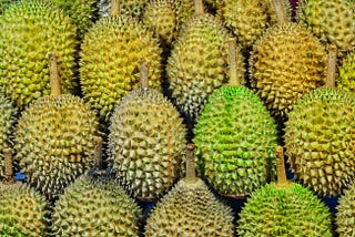 durian fruit