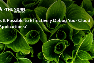 Is It Possible to Effectively Debug Your Cloud Applications?