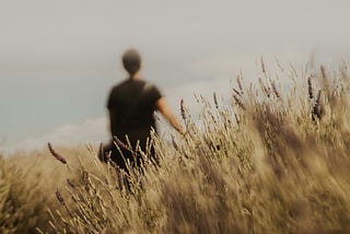 wheat field with an out-of-focus man in the background and a gray sky