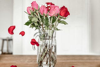 A mason jar full of roses, red and pink. A few rose petals falling