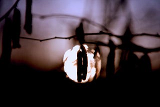 5. Wander in Hinterland — the alchemy of inner led change Mabon