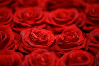 Is February Giving you Red Roses or Red Flags vibes?