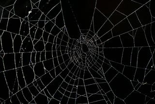 How To Unravel A Narcissistic Web Of Lies