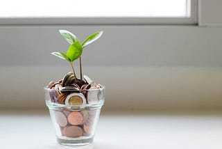 Plant growing in a vase of money