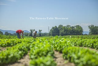 How is the Farm-to-Table movement promoting Sustainability?