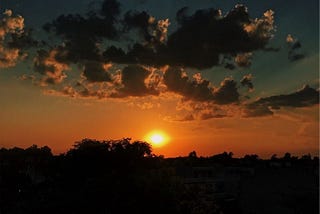 the city i grew up in
