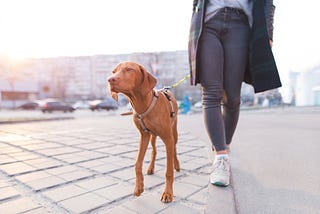 What Will Walking 30 Minutes a Day Do For You?