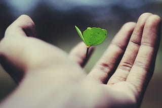 How to Build a Strong Foundation for Career Growth