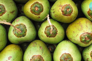 Vietnam Coconut: The Versatile and Sustainable Treasure of Tropical Agriculture