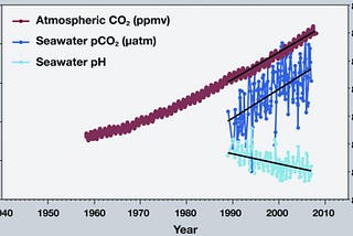 Ocean Acidification and its major impacts in Bay of Bengal, Bangladesh