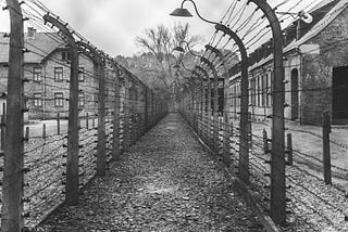Unveiling the Untold History of the Holocaust: Impact on Family Separation, Roots, and its Echo in…