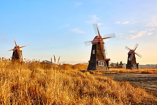 Understanding Curriculum Reform in the Netherlands