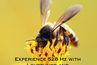 Experience 528 Hz with Lovetuner and Unlock Nature’s Healing Frequency