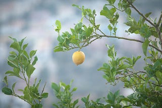 The Lemon Farmer — A short story