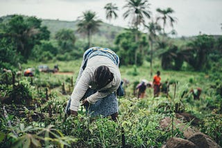 3 ways the government should create jobs in Akwa Ibom