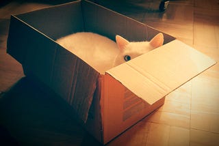 A white cat lies in a cardboard box, with most part of the body and face are hidden, staring  at the camera.