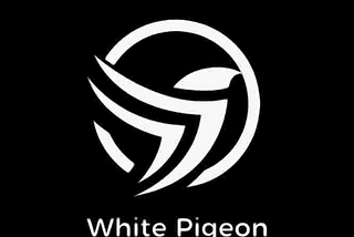 TG DAO 3.0 Launchpad analysis of WhitePigeon Network