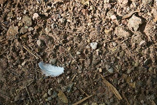 Unearthed…