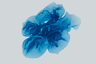Mental Model (Zihinsel Model)