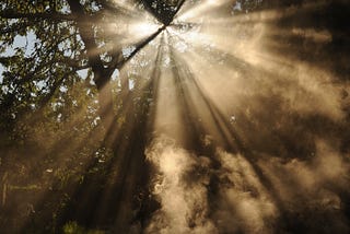 4 Ways To Let Your Unique Light Shine (Sermon Transcript)