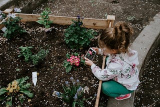 The 5 Essentials of Composting