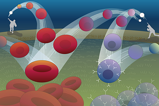 8. Newser: A new computer program that predicts cell destinies and gene mutations