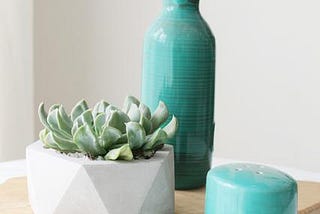 How to water your succulents