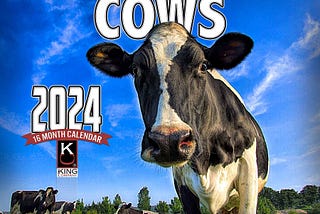 2024 Cows Wall Calendar: A Farm-Themed 14x22-Inch Gift | Image