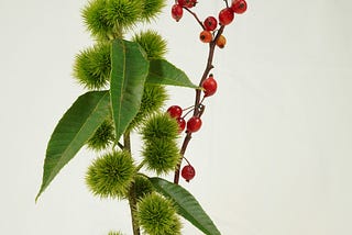 What is next after a broad paid campaign?