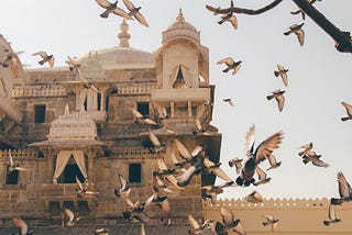 Birds flying in a courtyard outside a temple.