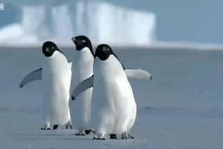 Linux For Dummies 🐧