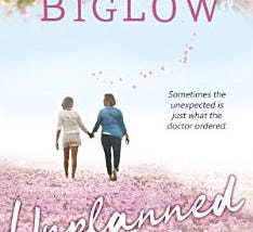 Unplanned: A Contemporary Women's Friendship Novel | Cover Image
