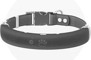 halo-collar-smart-dog-collar-with-virtual-fence-gps-activity-tracking-training-graphite-large-1