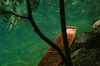 A boat on a lake, beneath a tree