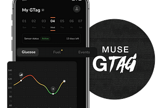How to get started with Muse GTag?